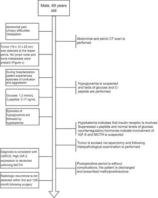 Solitary fibrous tumor with IGF-II-induced non-islet cell tumor hypoglycemia: a case report and molecular characterization by next-generation sequencing